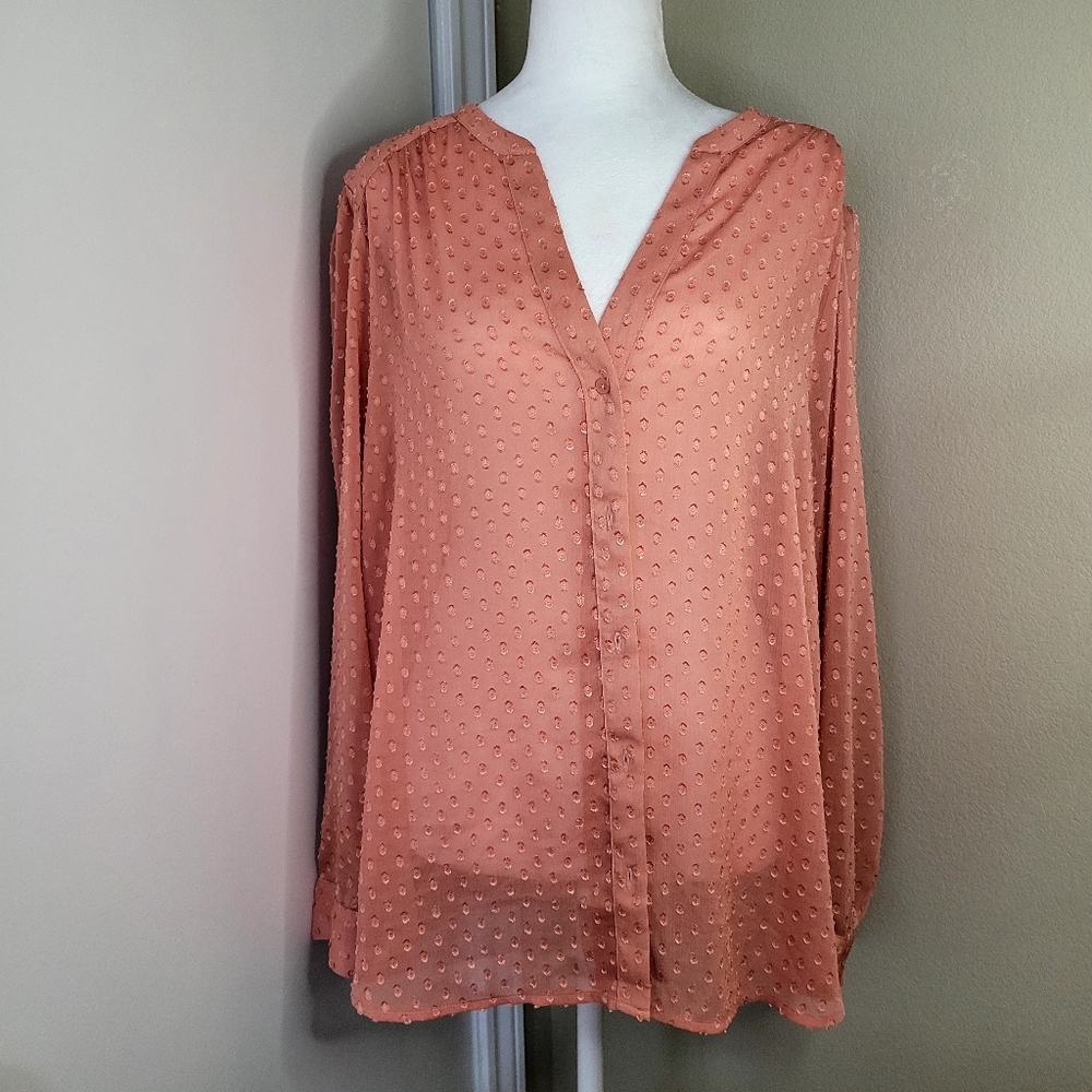 Banana Republic, Peach, V-neck, long sleeves Womens Size XL